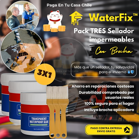 3x1 Sellador Impermeable 300g c